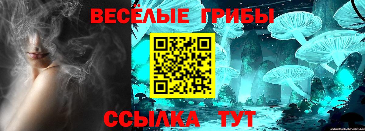 Псилоцибиновые грибы мицелий Шуя